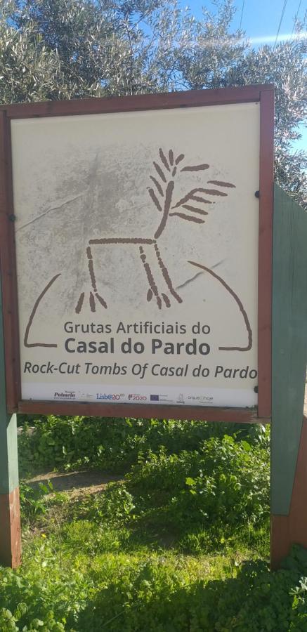 Patio Da Memoria Vendégház Palmela Kültér fotó